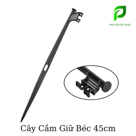 CÂY CẮM BÉC 45CM – 2 ĐẦU GÀI